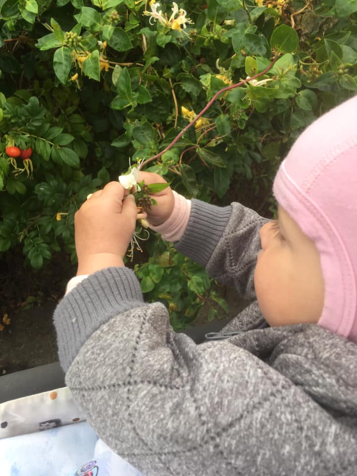 Her ses et billede af et barn der plukker en blomst fra en busk